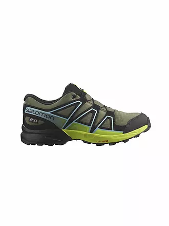 SALOMON | Damen Traillaufschuhe XA PRO 3D V9 GTX | 